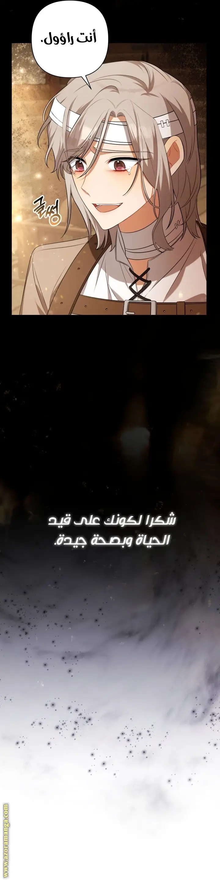 الصفحة 53