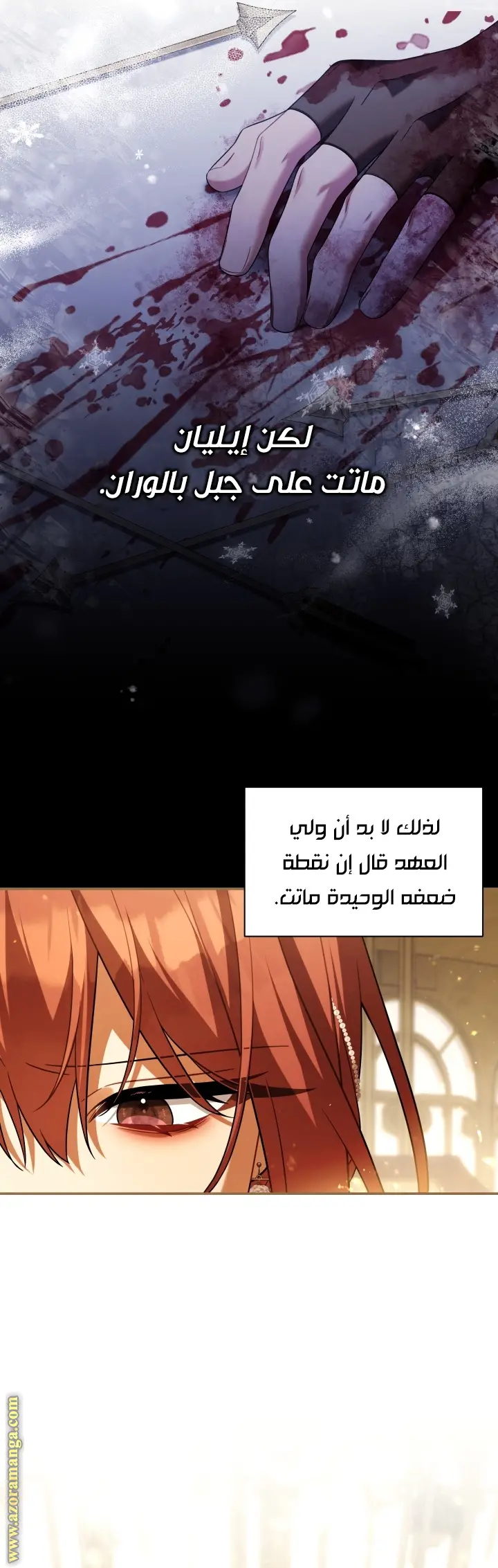 الصفحة 13