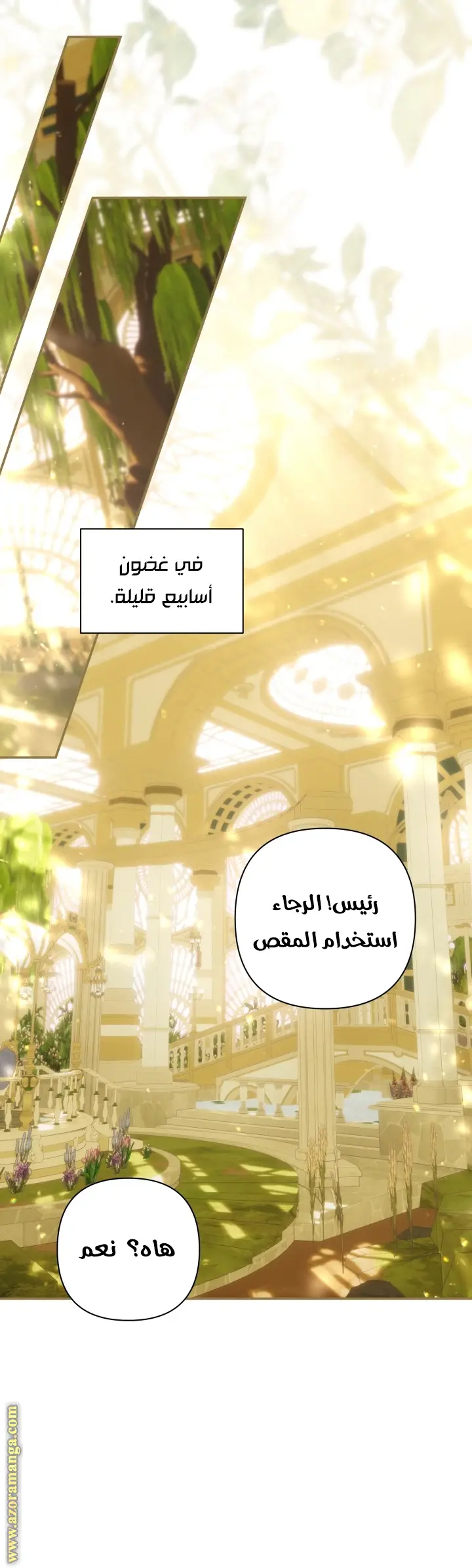الصفحة 19