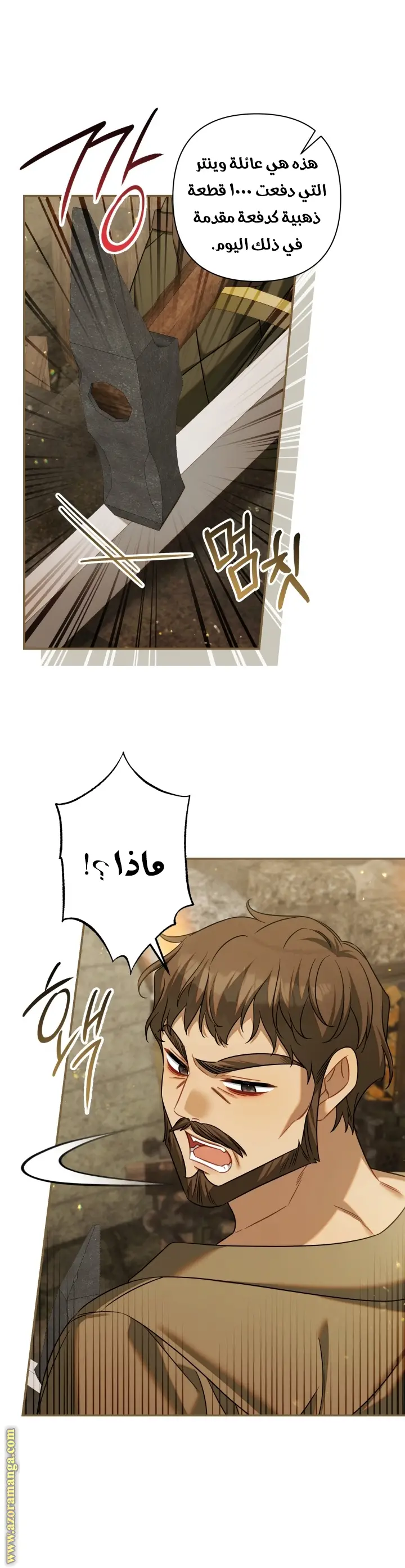 الصفحة 31