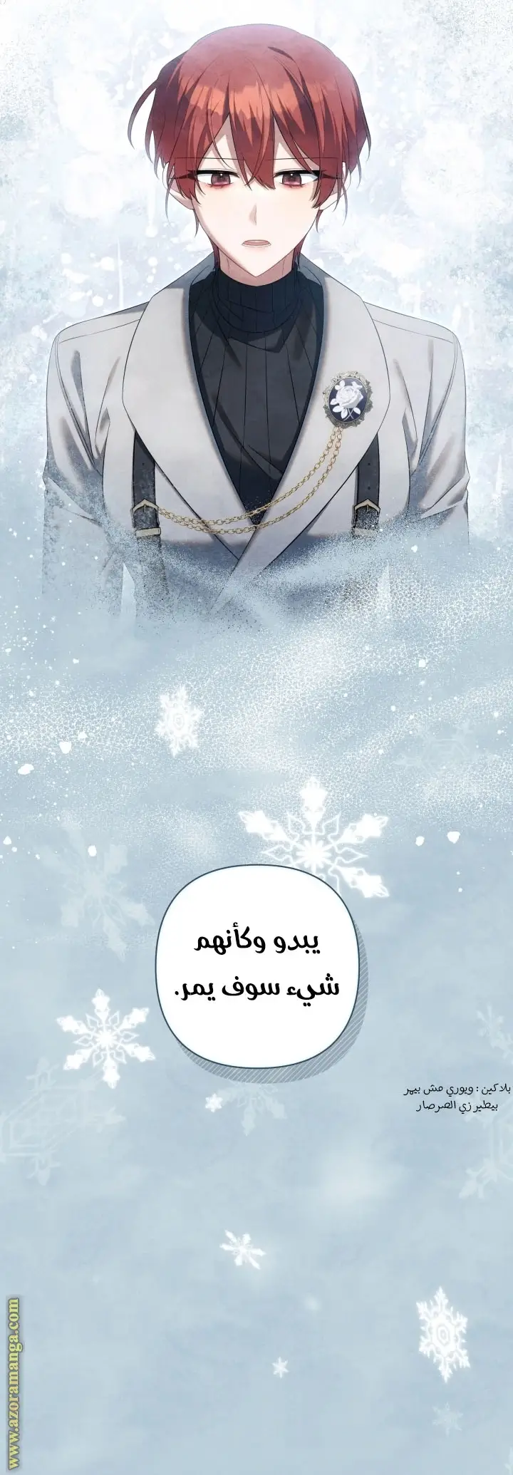 الصفحة 17