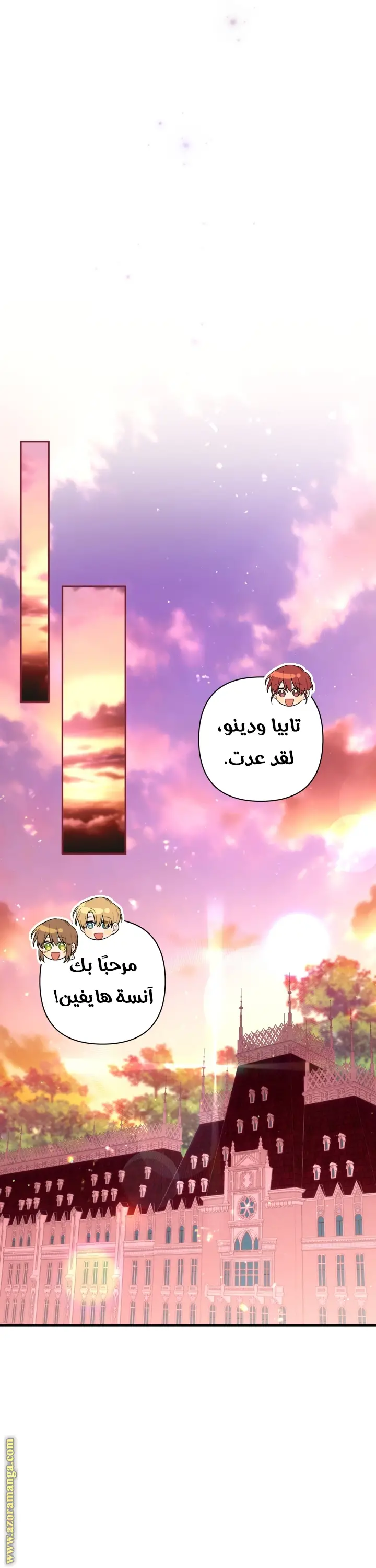 الصفحة 17