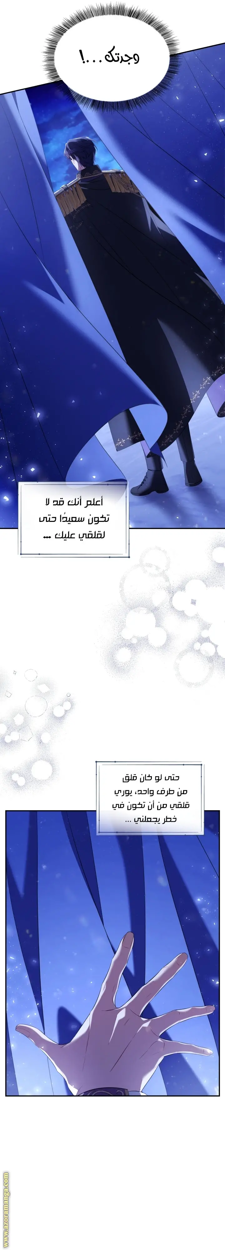 الصفحة 29