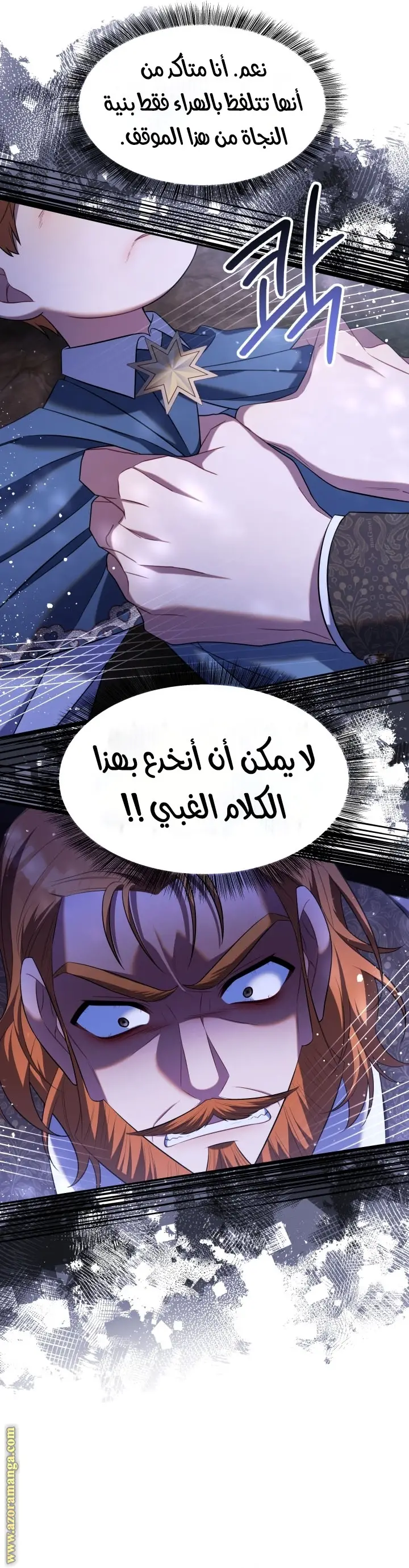 الصفحة 25