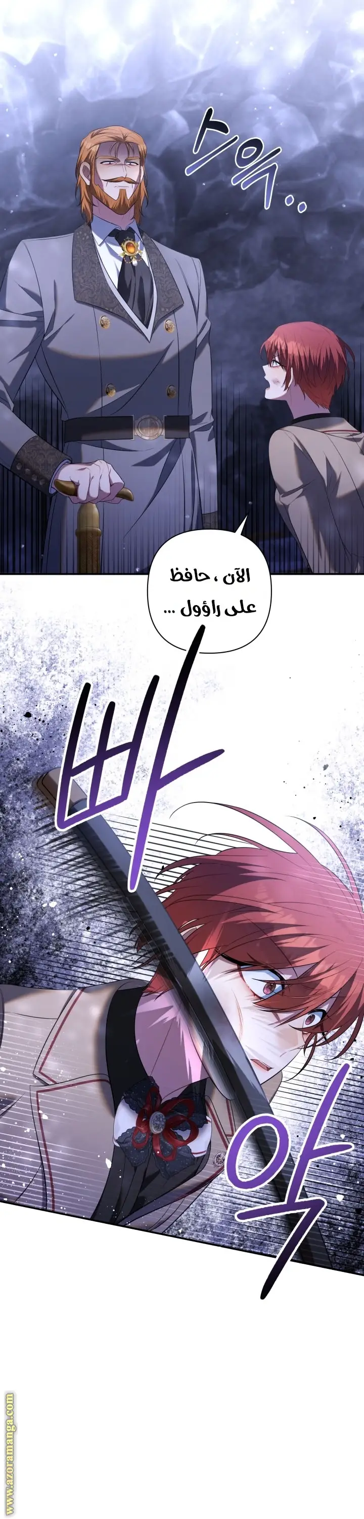 الصفحة 27