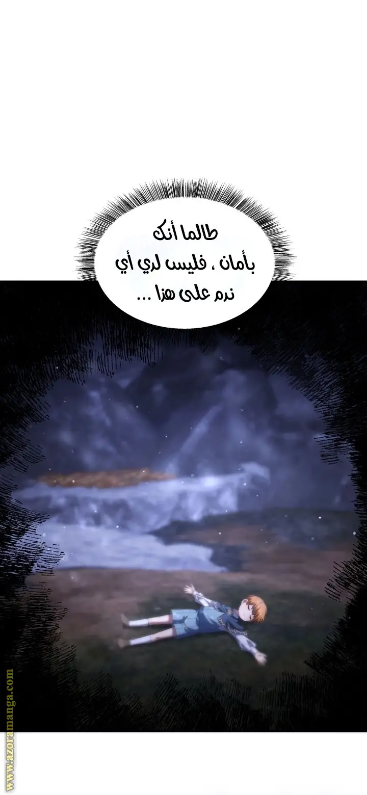 الصفحة 29