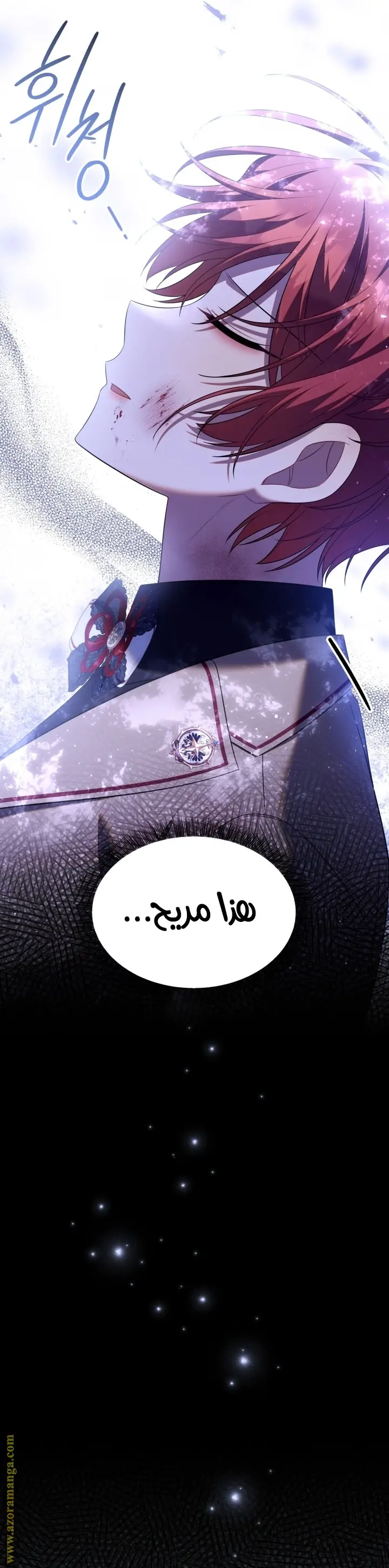 الصفحة 30