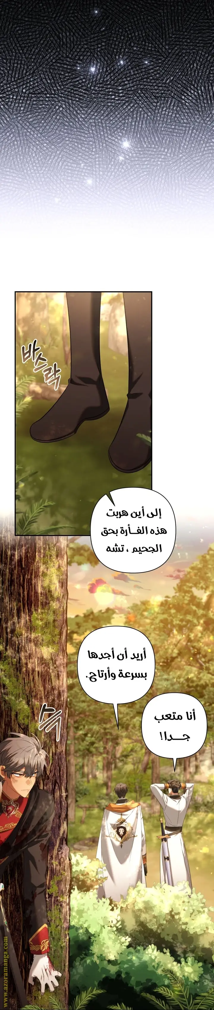 الصفحة 31