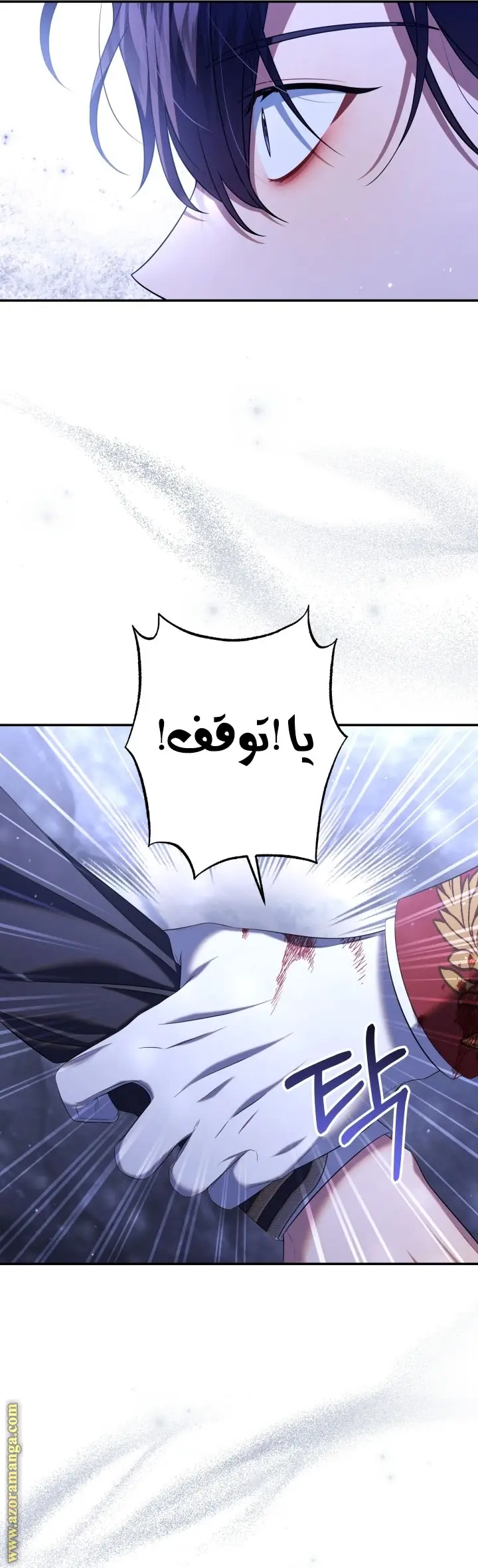 الصفحة 41