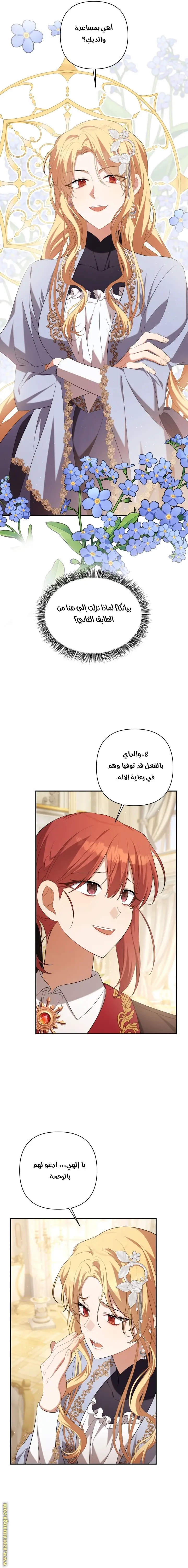 الصفحة 17