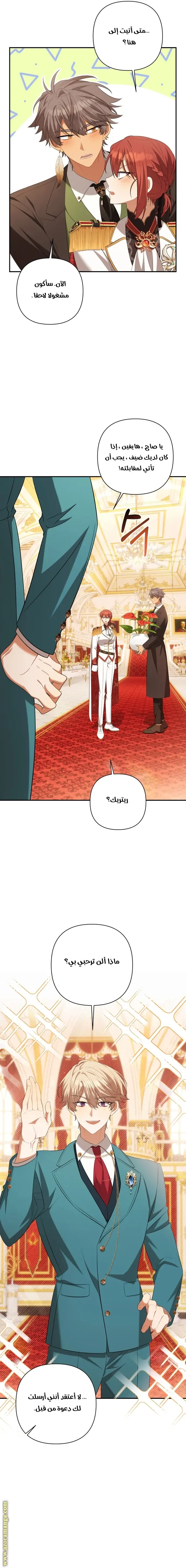 الصفحة 20