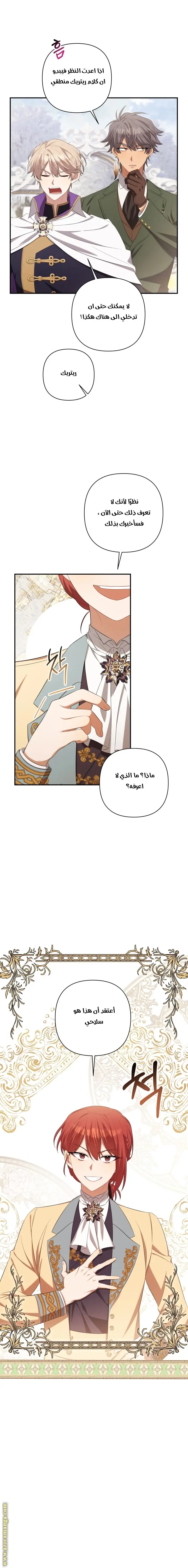 الصفحة 17