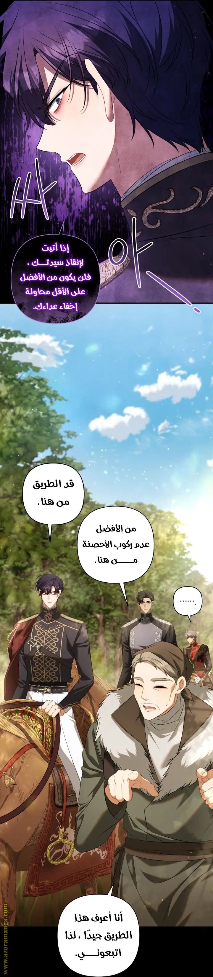 الصفحة 29