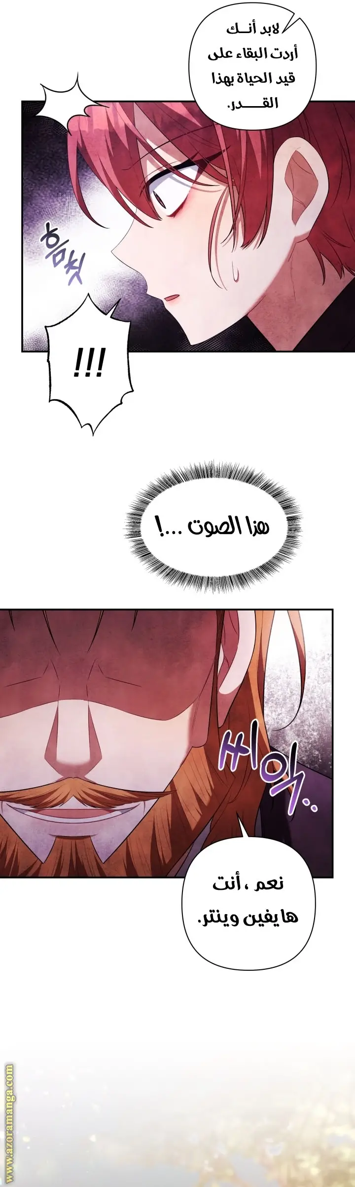 الصفحة 39