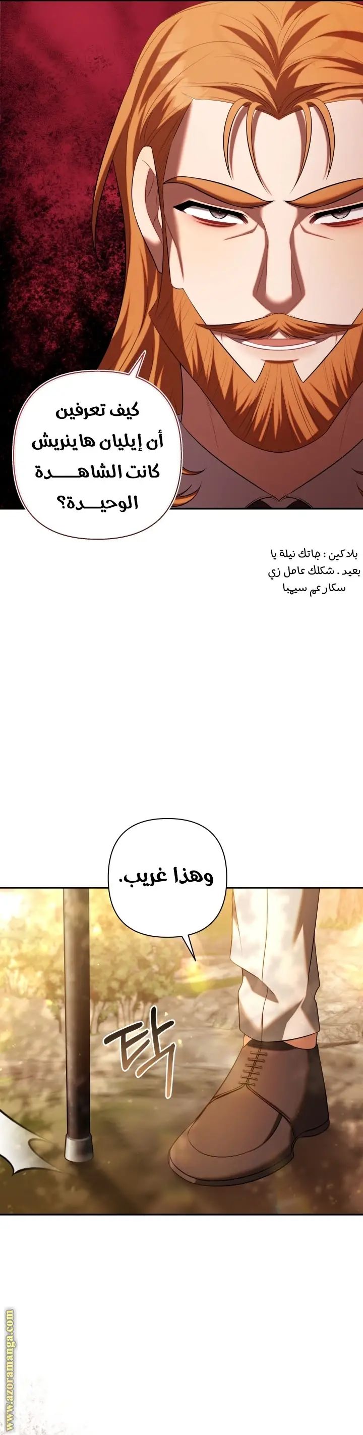 الصفحة 42