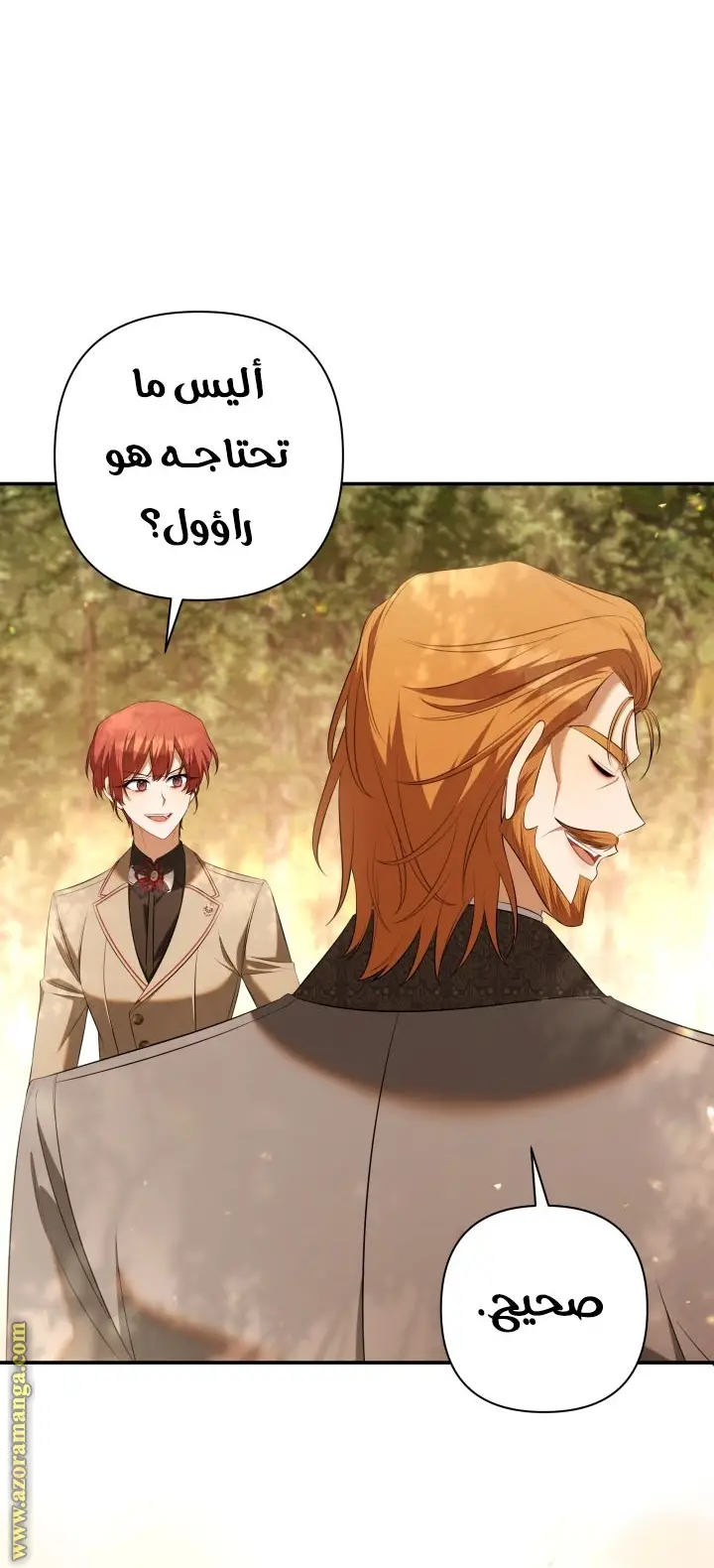 الصفحة 46