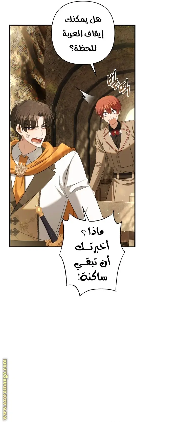 الصفحة 19