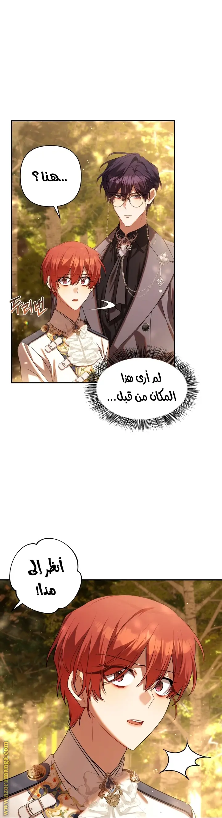 الصفحة 43
