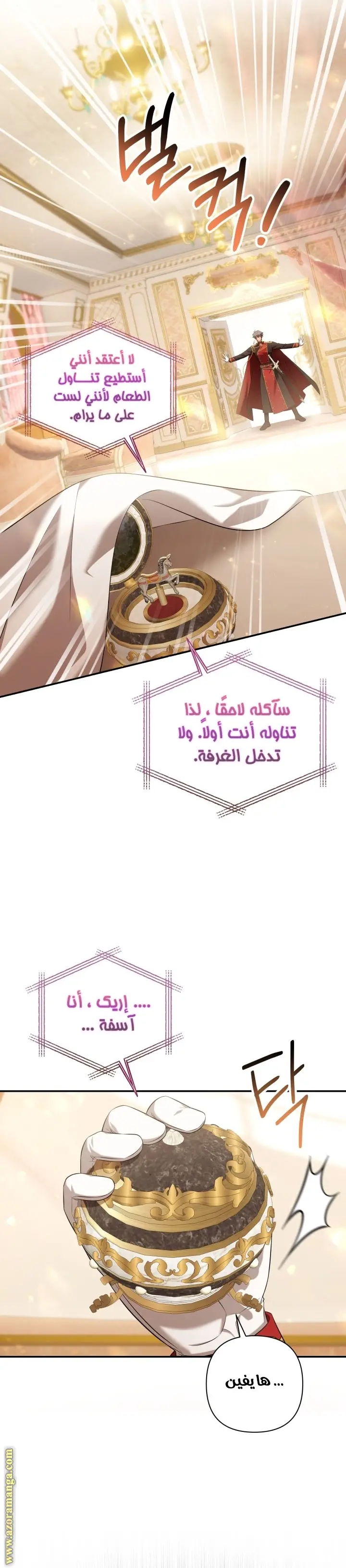 الصفحة 13