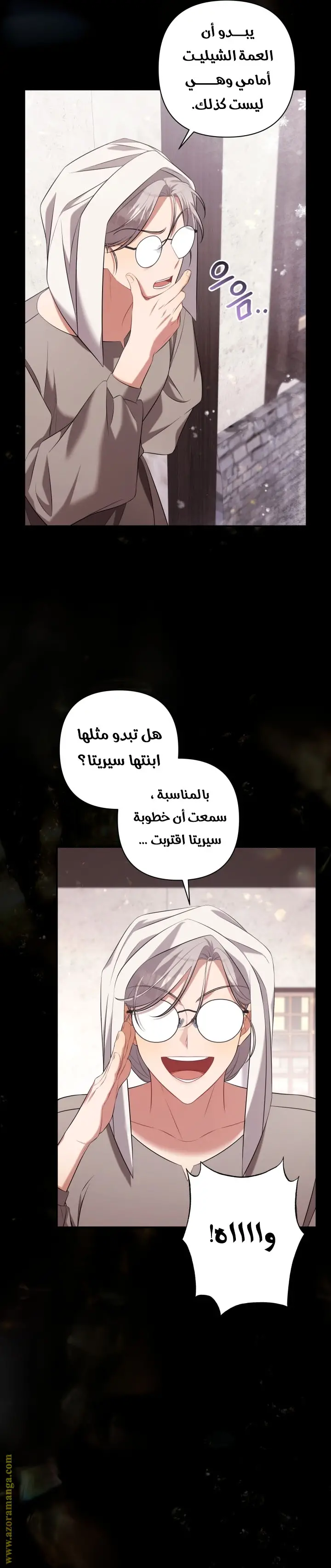الصفحة 17