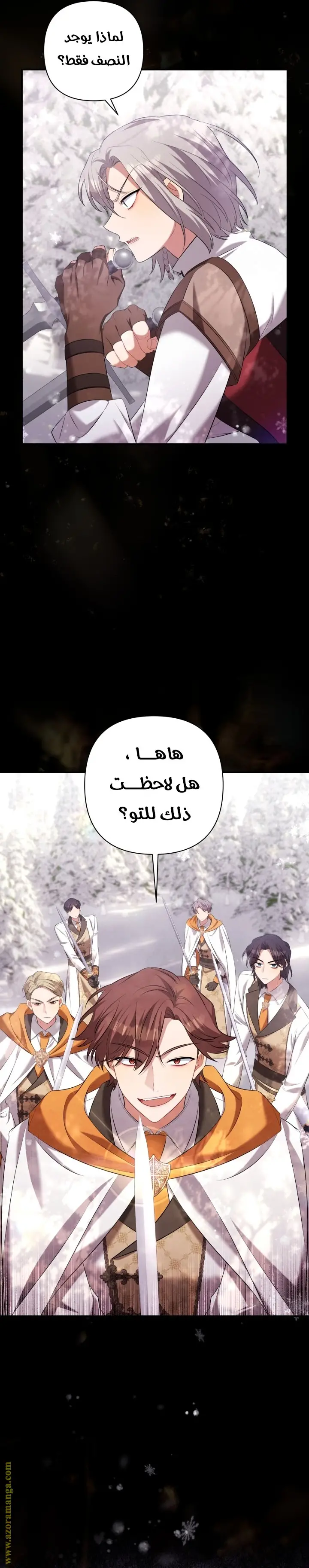الصفحة 27
