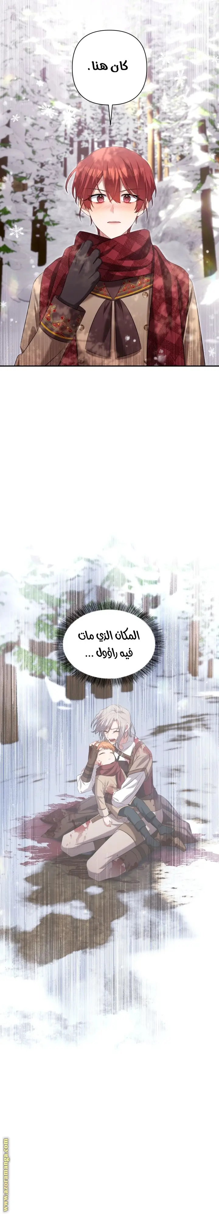 الصفحة 29