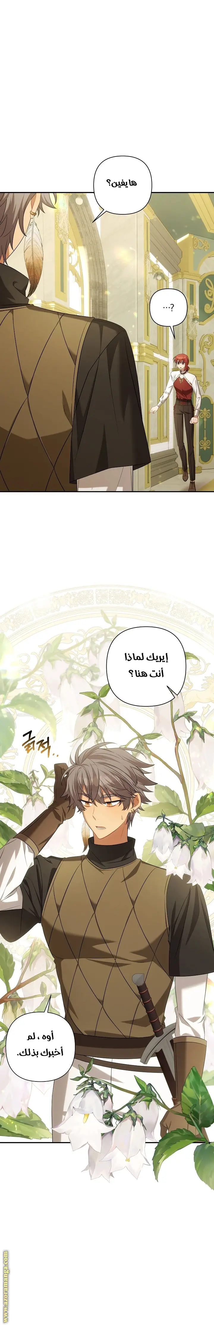 الصفحة 17