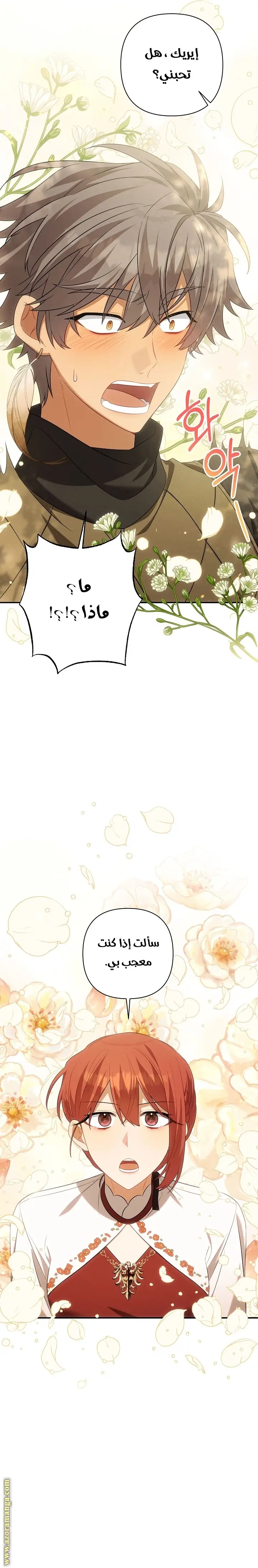 الصفحة 19
