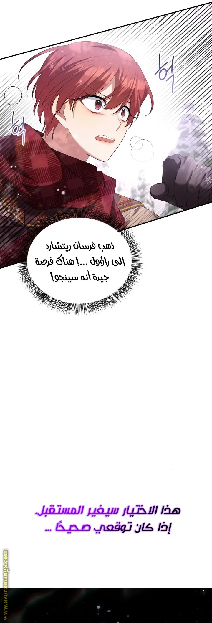 الصفحة 26