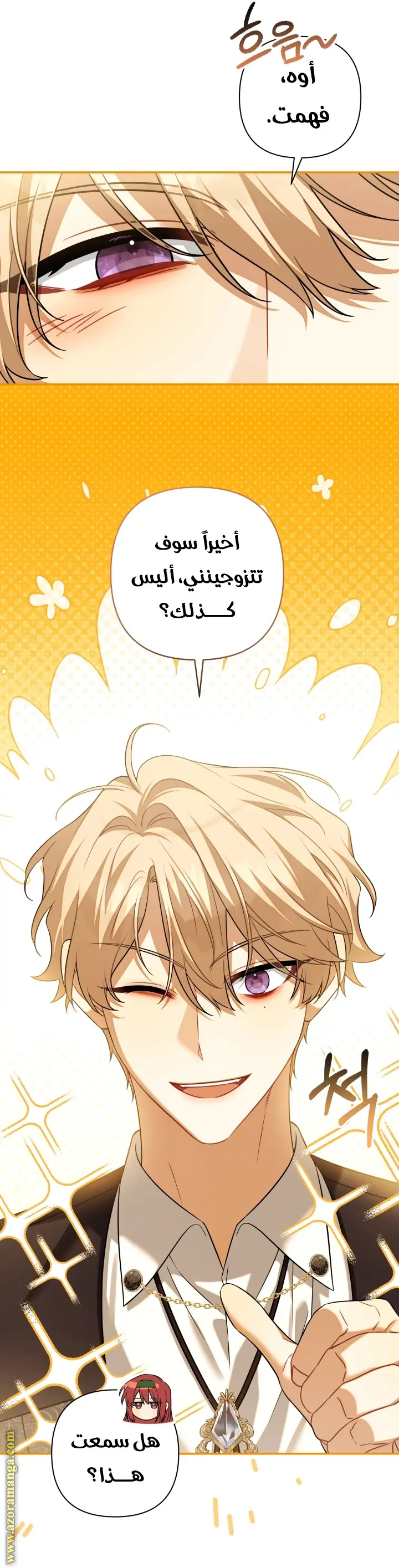 الصفحة 30
