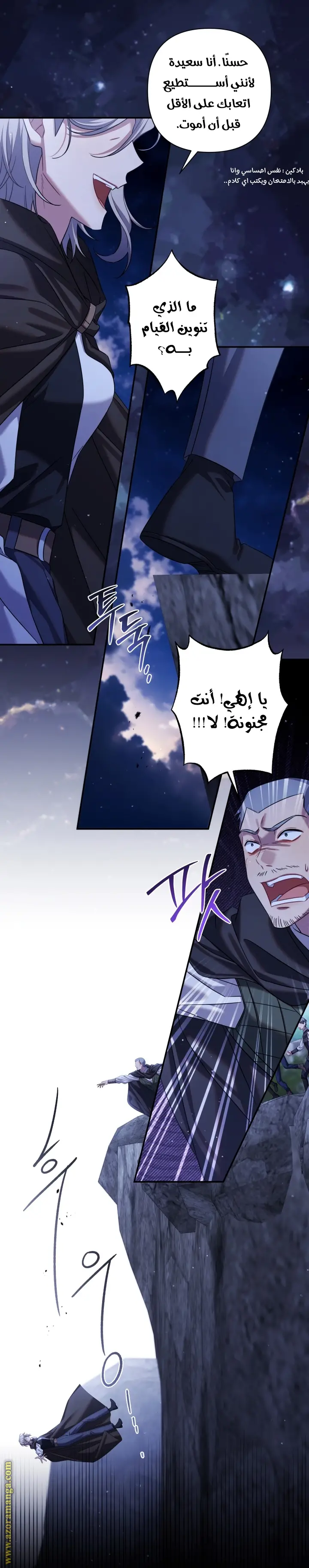 الصفحة 17