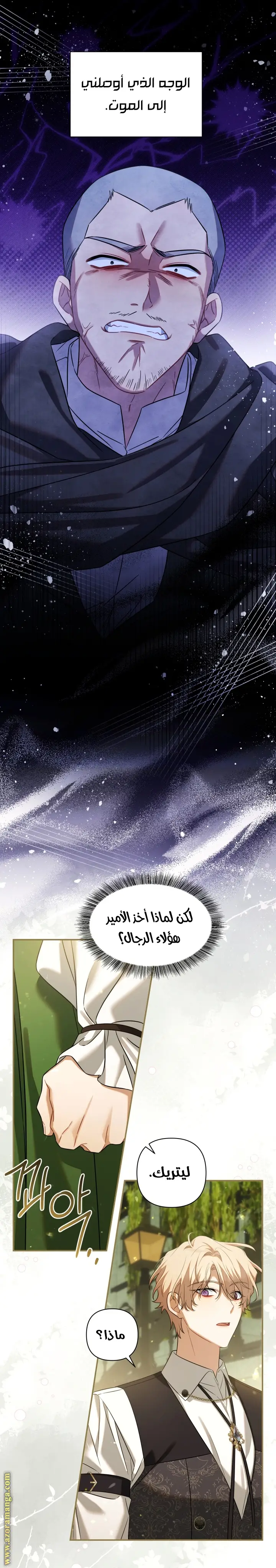 الصفحة 19