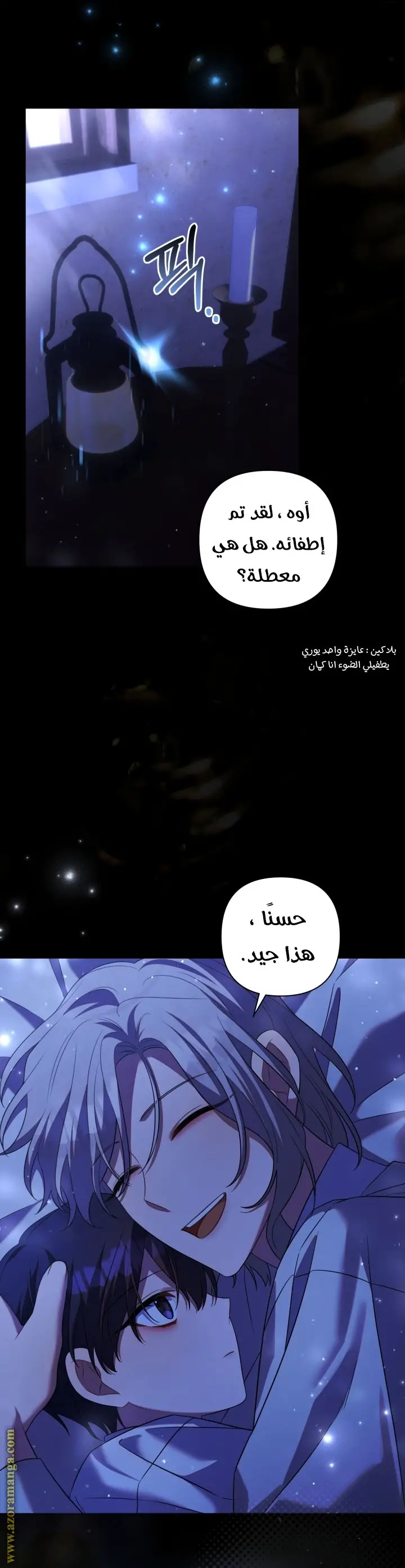 الصفحة 13