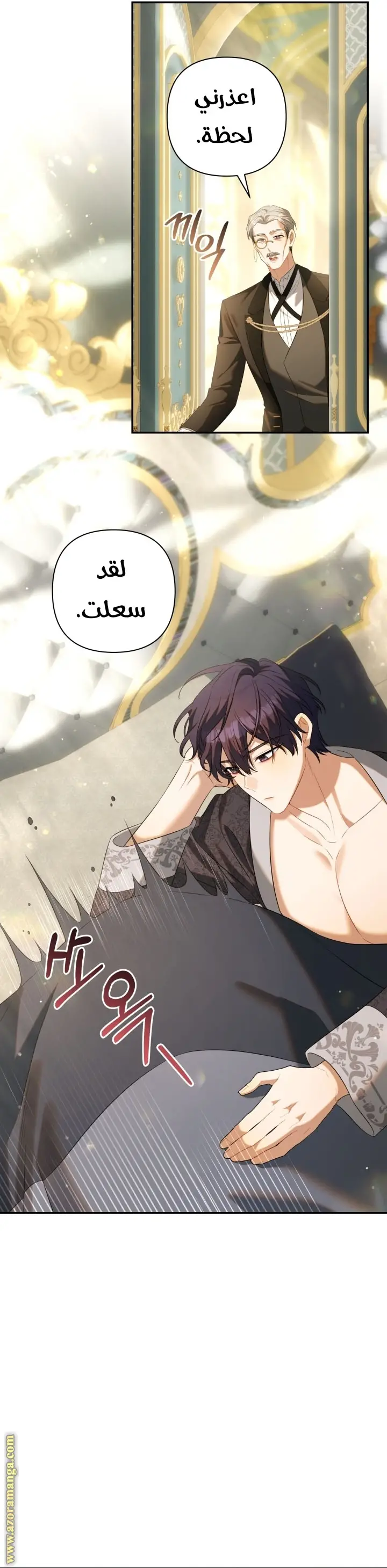 الصفحة 31