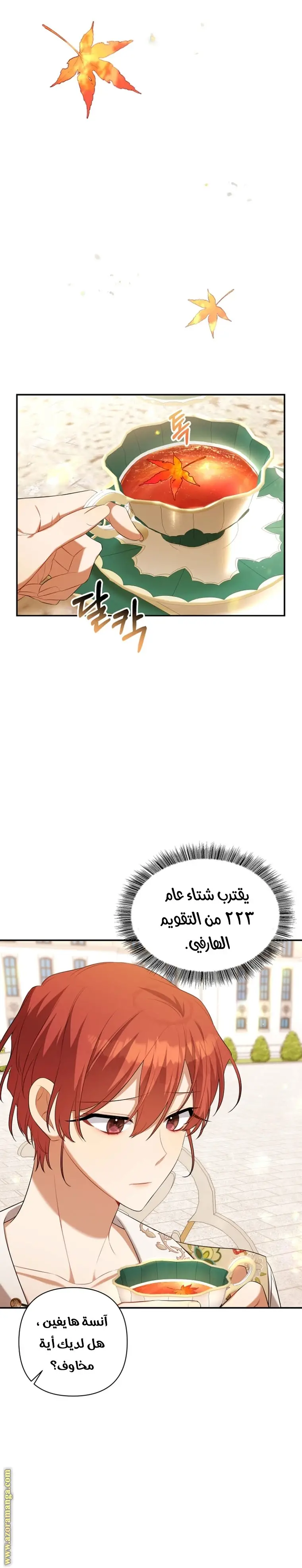 الصفحة 5