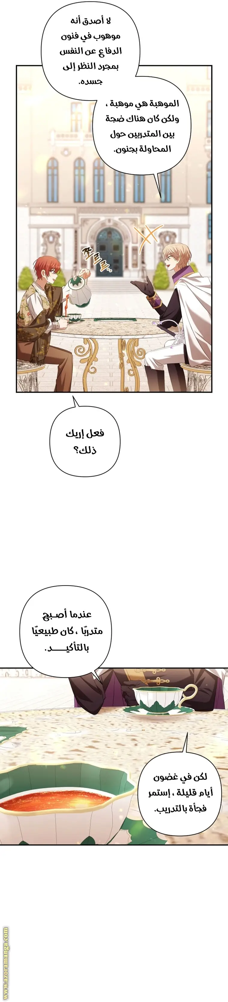 الصفحة 11