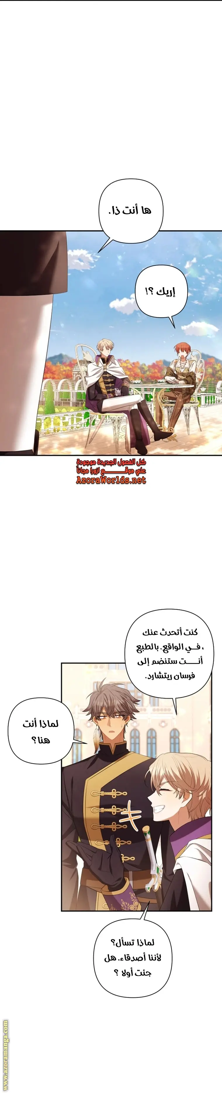 الصفحة 17