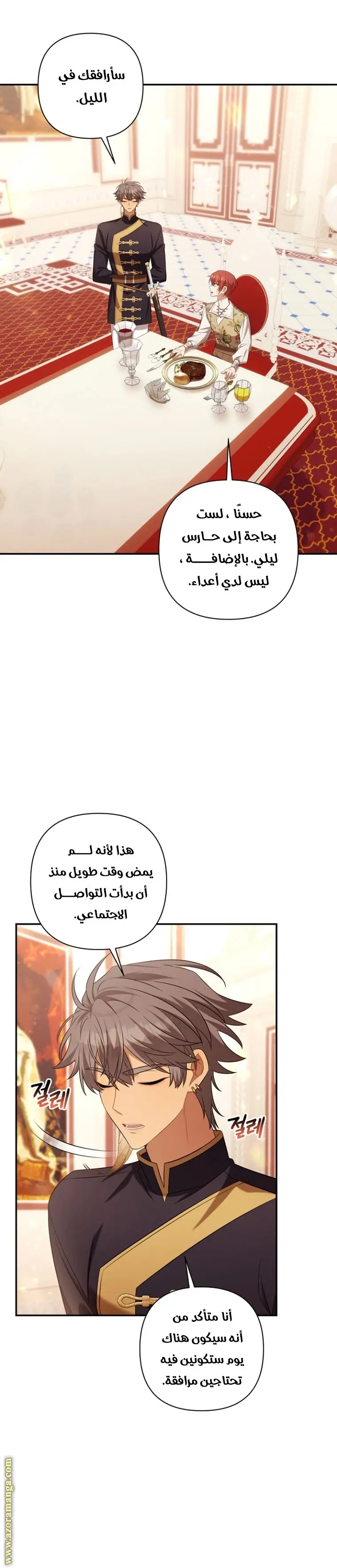 الصفحة 27
