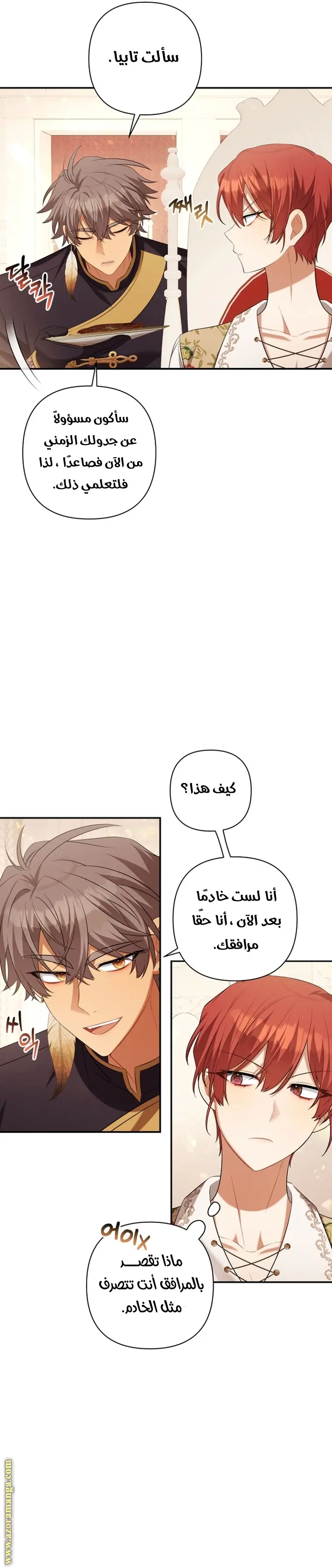 الصفحة 29