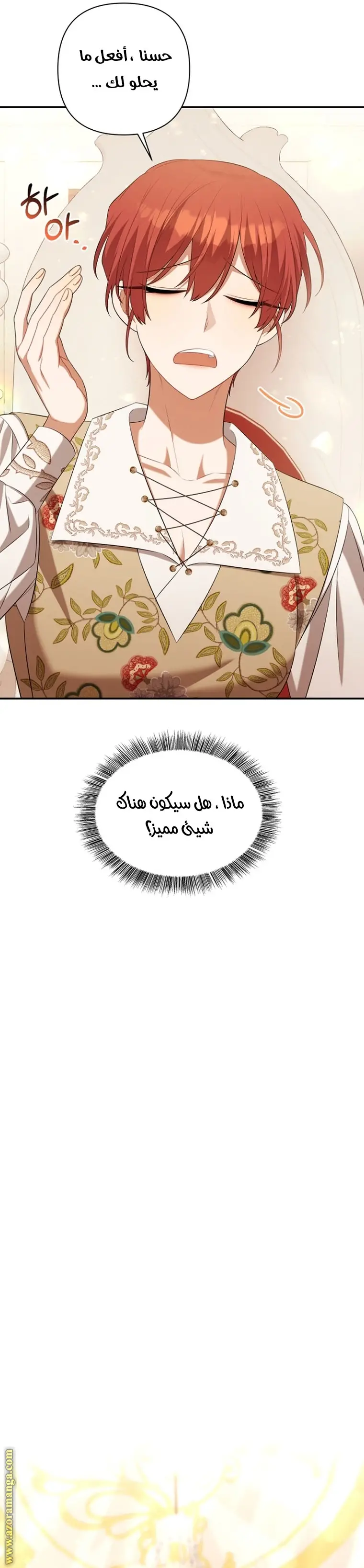 الصفحة 30