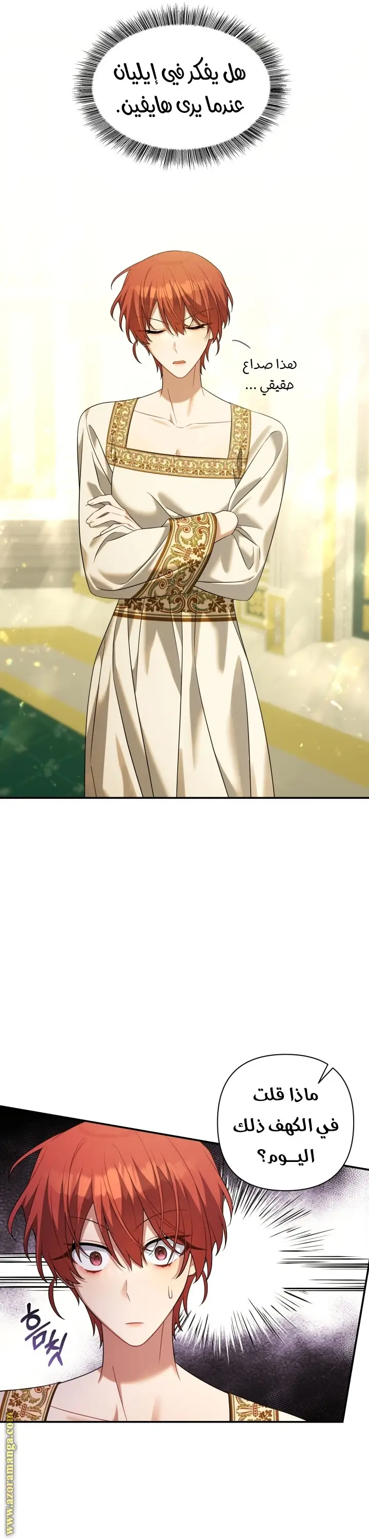الصفحة 17