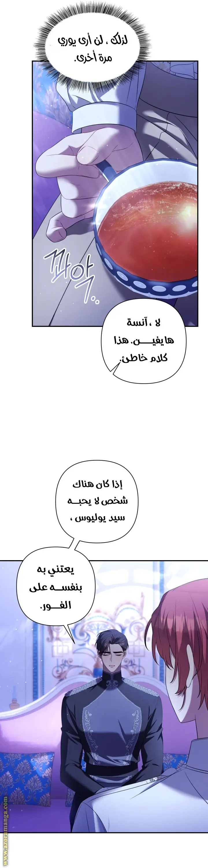 الصفحة 17