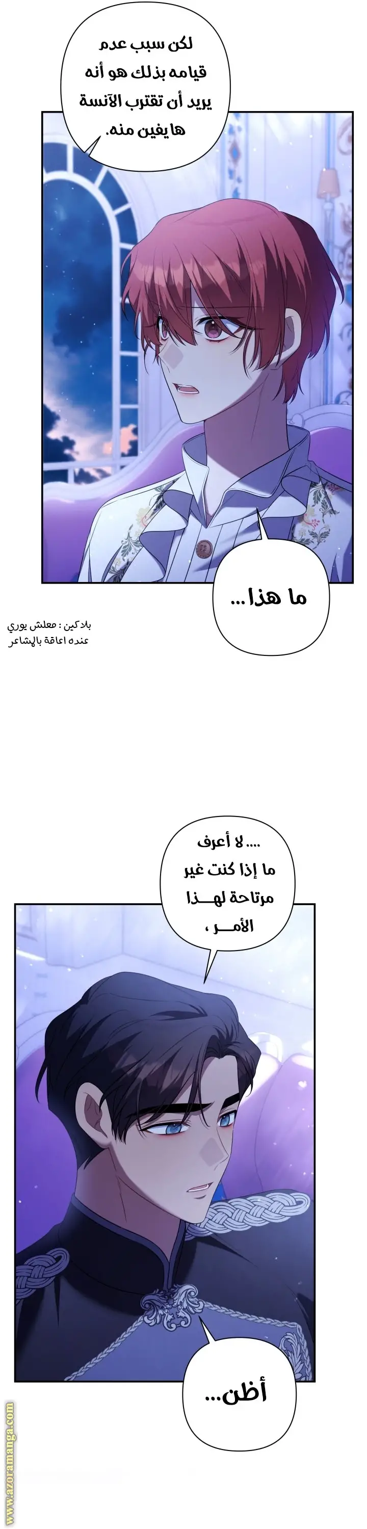 الصفحة 19