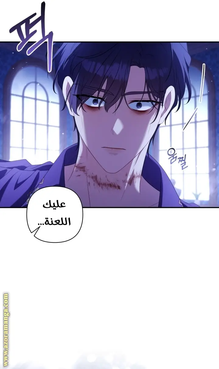 الصفحة 47