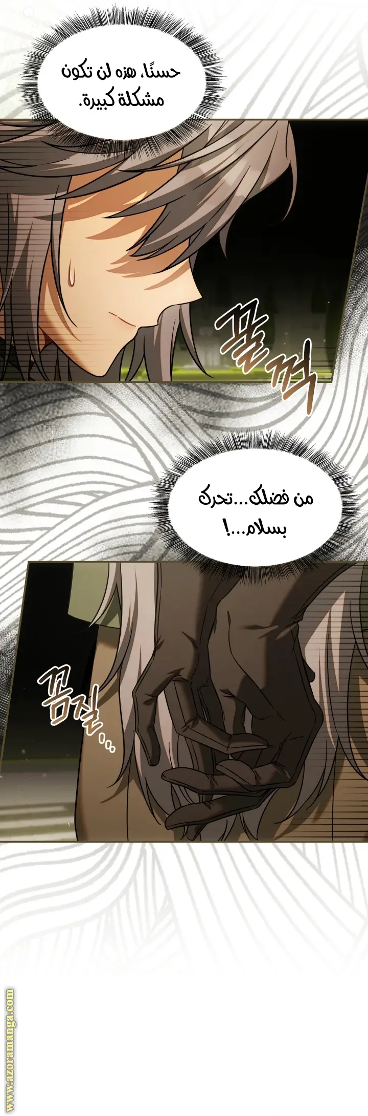الصفحة 14