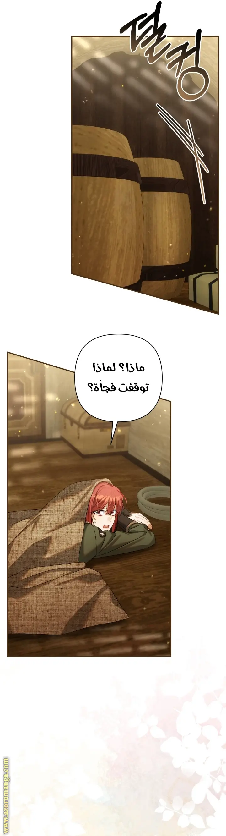 الصفحة 25