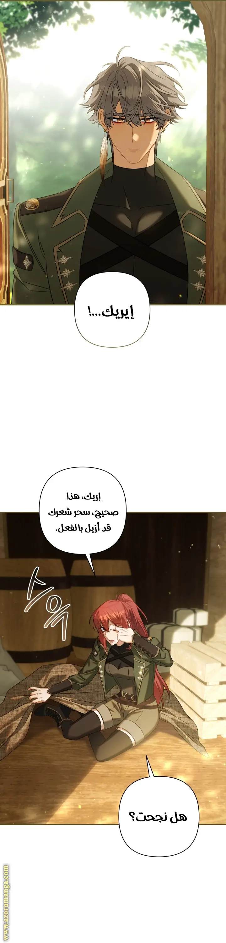 الصفحة 27