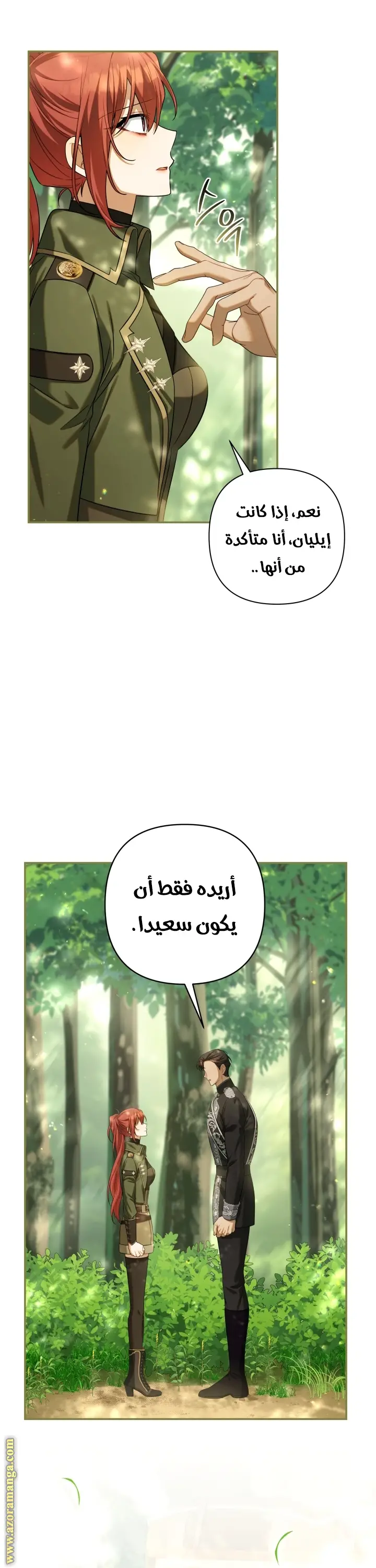 الصفحة 41