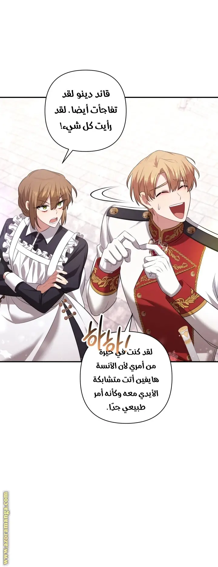 الصفحة 27