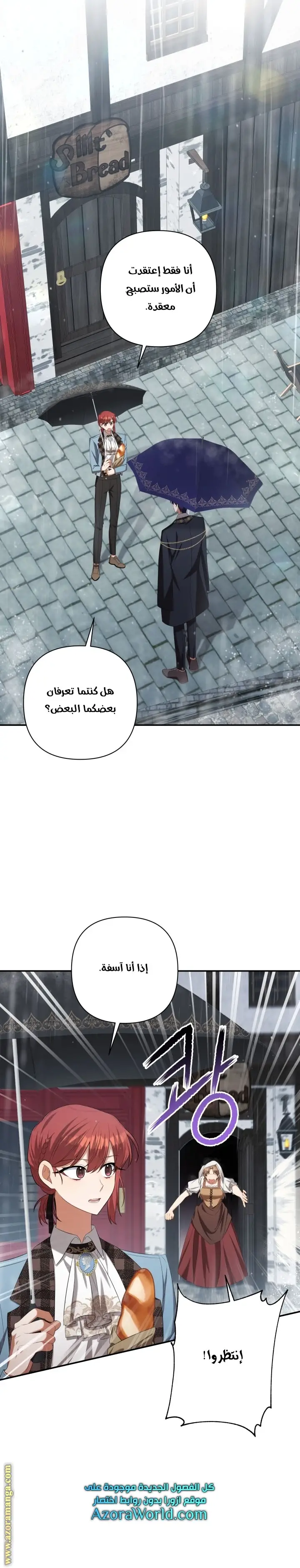 الصفحة 13